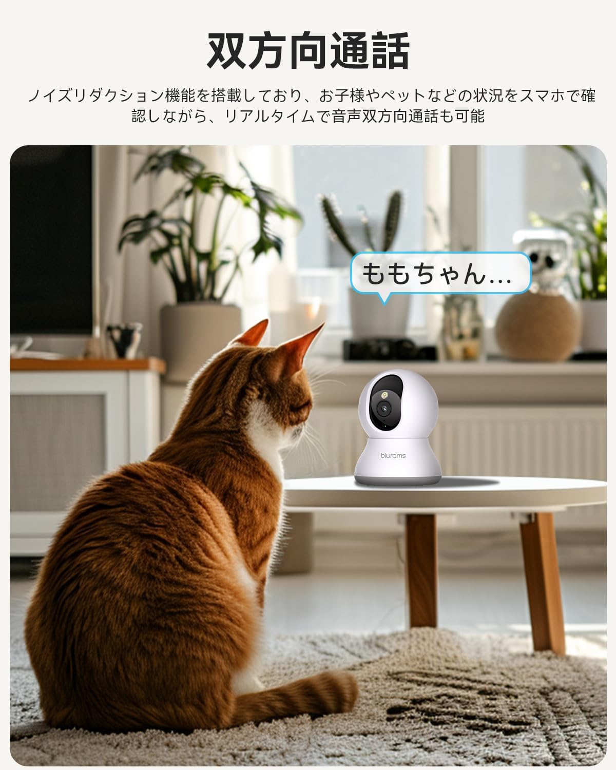 Amazon.co.jp: 【2台セット・フルカラー暗視・300万画素】ペットカメラ